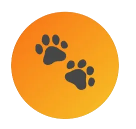 Paws &amp; Pals