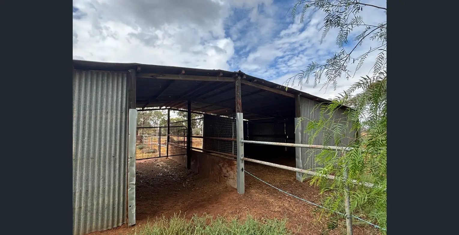 34 Oleander Drive Coomealla - Image 2