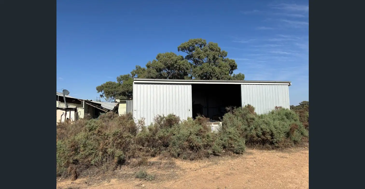 43 Creek Rd Curlwaa - Image 16