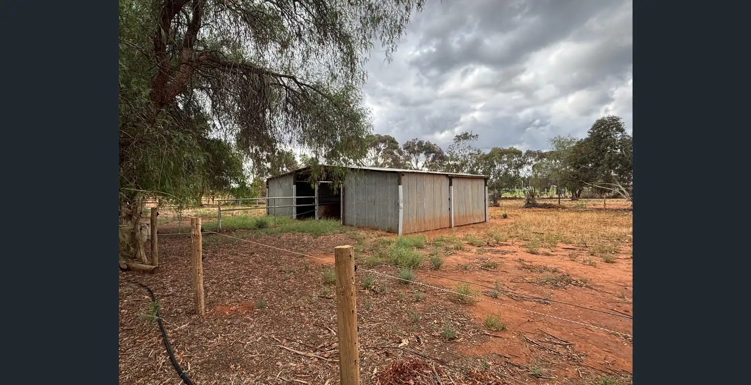 34 Oleander Drive Coomealla - Image 4
