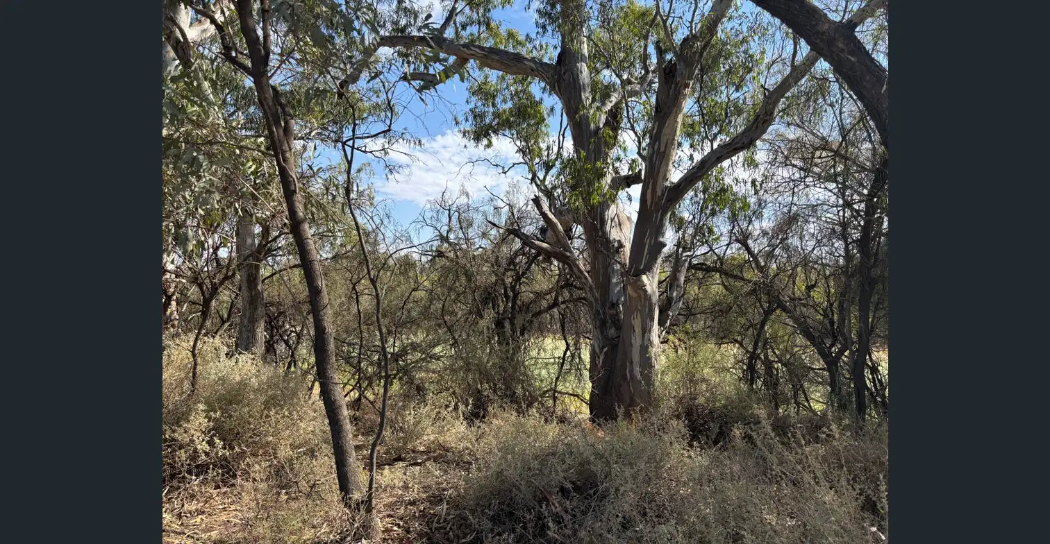 119B Lagoon Road Wentworth - Image 7
