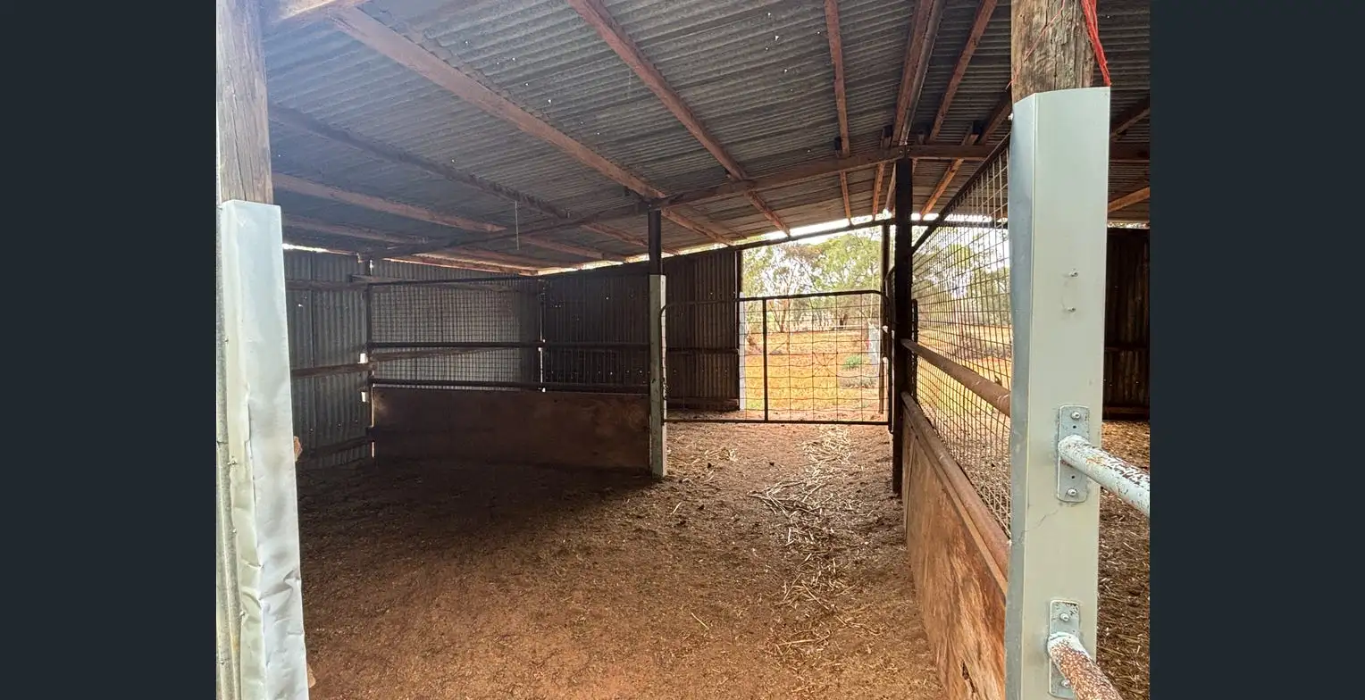 34 Oleander Drive Coomealla - Image 3