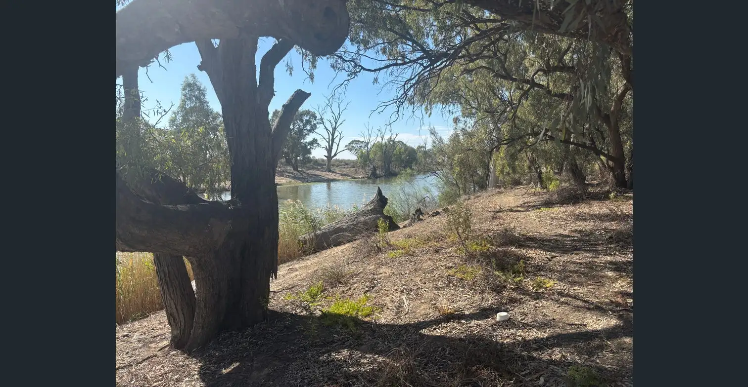 43 Creek Rd Curlwaa - Image 15