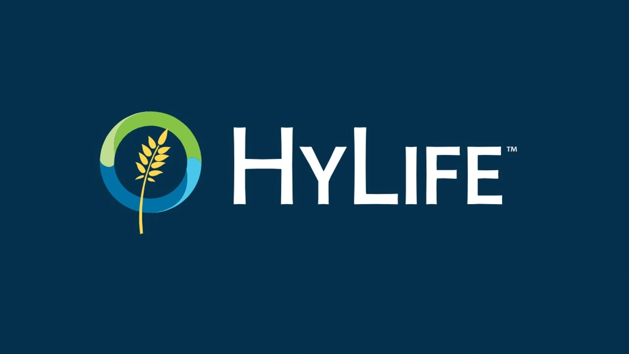 Hylife
